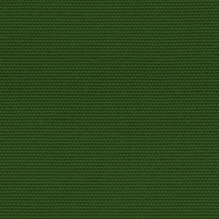 Fabric Colorin Green