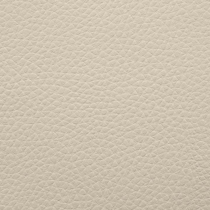 Artificial Leather Outside Beige