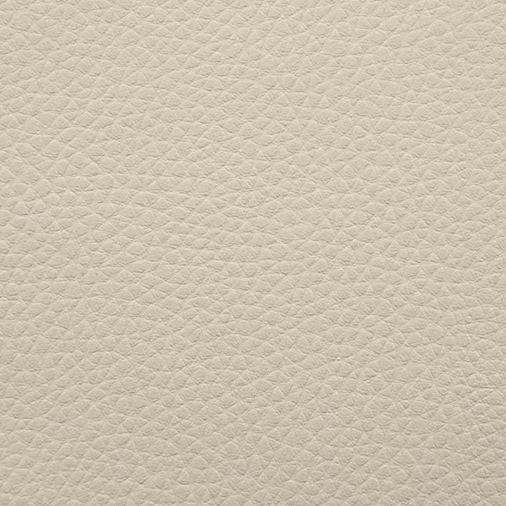 Artificial Leather Outside Beige