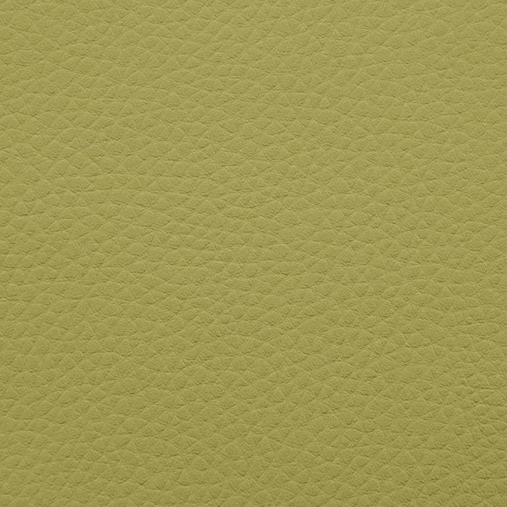Artificial Leather Outside Lime